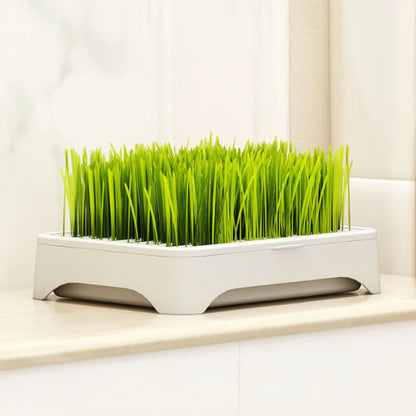 Pet Cat Grass Planter Kit Soilless Cat Grass Planting Kit Nursery Box Gifts for Families Friends