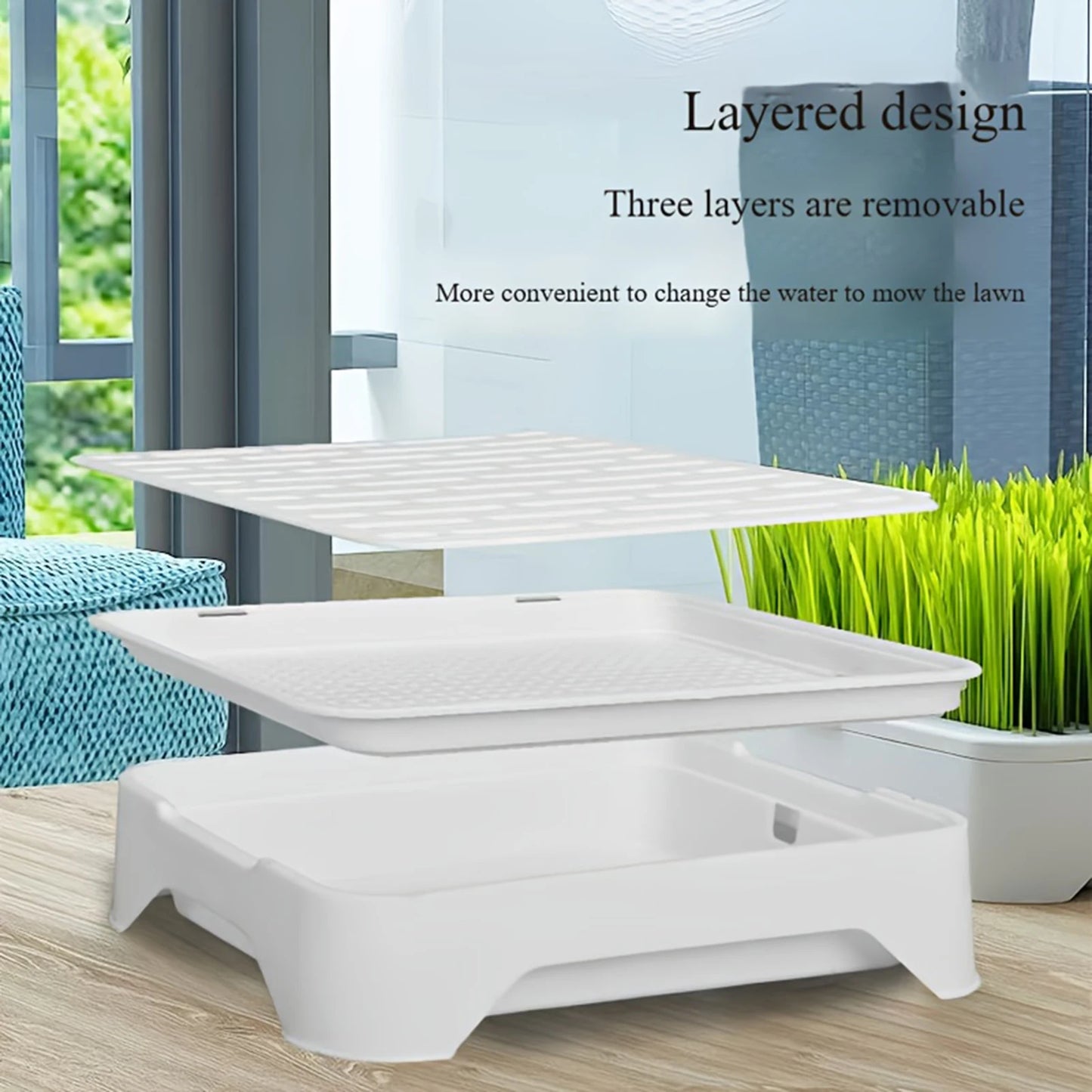 Pet Cat Grass Planter Kit Soilless Cat Grass Planting Kit Nursery Box Gifts for Families Friends