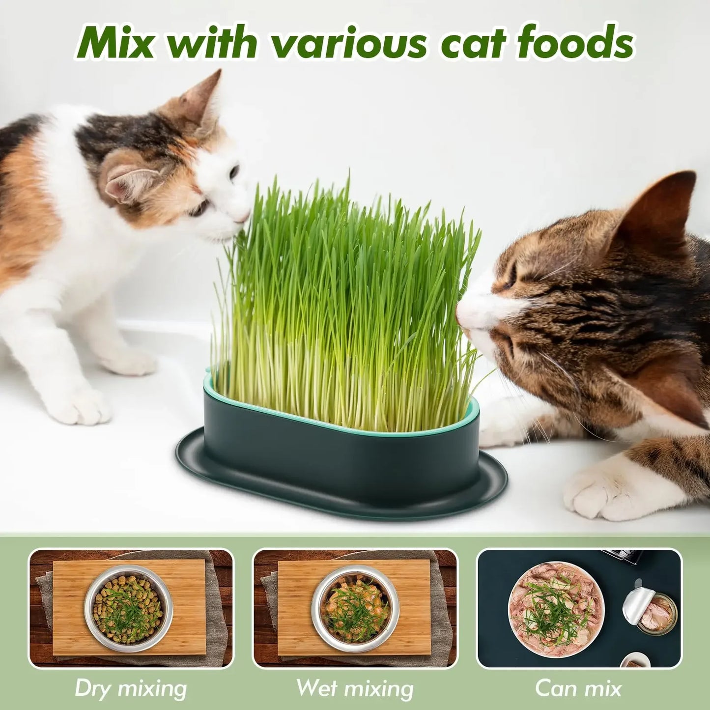 Cat Grass Planter,Capacity Cat Grass Kit,Soilless Culture Cat Grass Growing Kit,Hydroponic Cat Grass Seed Sprout Trays