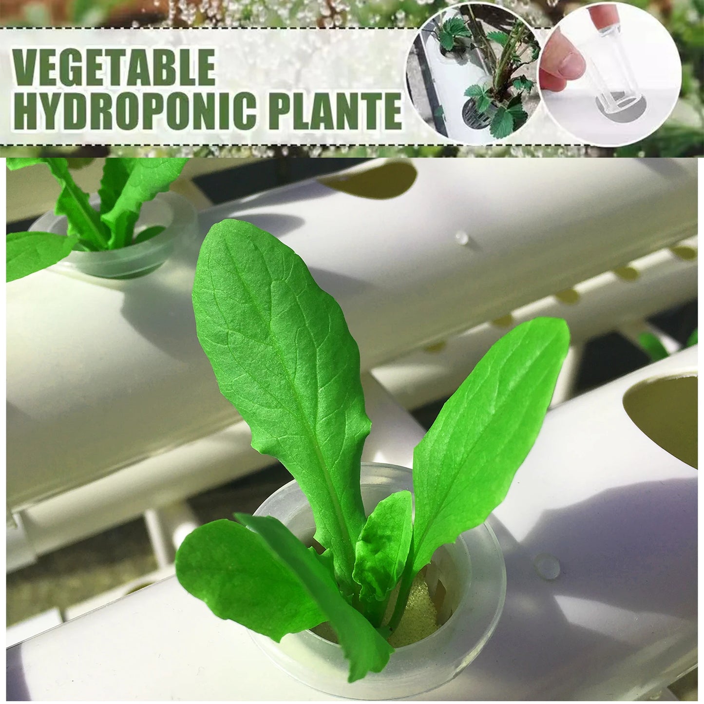 Hydroponics Growing System Kits 36 Sites Food PVC-Pipe Hydroponic Garden Soilless Cultivation Vegetables Planting Tools