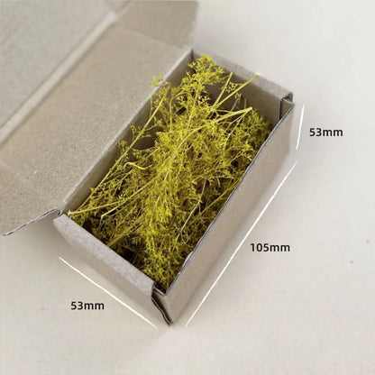 Dry Grass Model Kit Quinoa Plant Diy Military Sand Table Scene Materials for Diorama HO Railway Landscape Layout Model Making