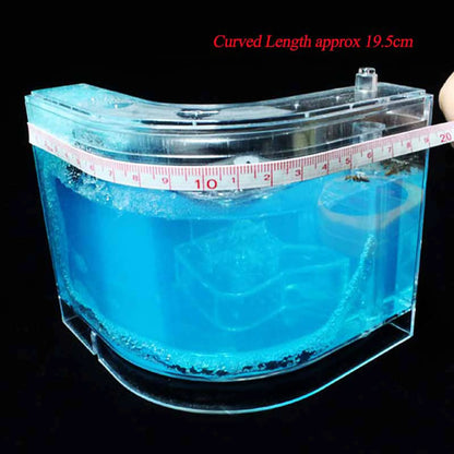 Live Feeding System  Maze Educational & Learning Science Kit Toy for Study Architecture Ecosystem