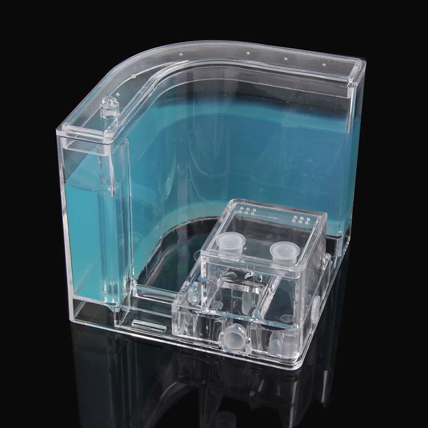 Live Feeding System  Maze Educational & Learning Science Kit Toy for Study Architecture Ecosystem