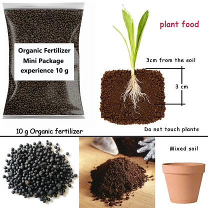 10 G Organic Fertilizer Mini Package Green General Purpose Safe And Pollution Free Use Flower Plant Food For Garden Bonsai