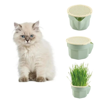 Hydroponic Cat Grass Box Planter Easy To Grow Hierarchical Design Microgreens Growing Kit Reusable Cat Grass Growing Pot